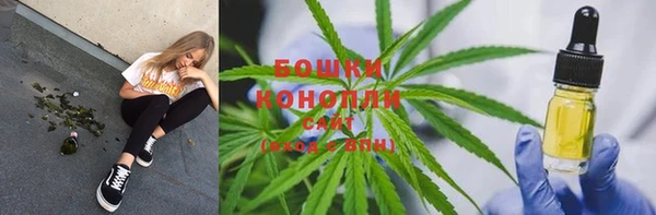 винт Лабытнанги