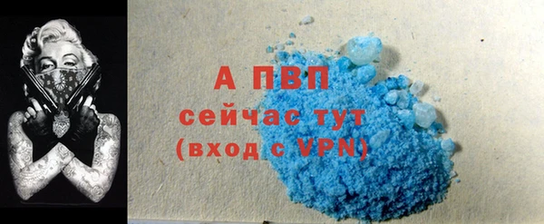 винт Лабытнанги