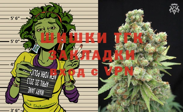 винт Лабытнанги